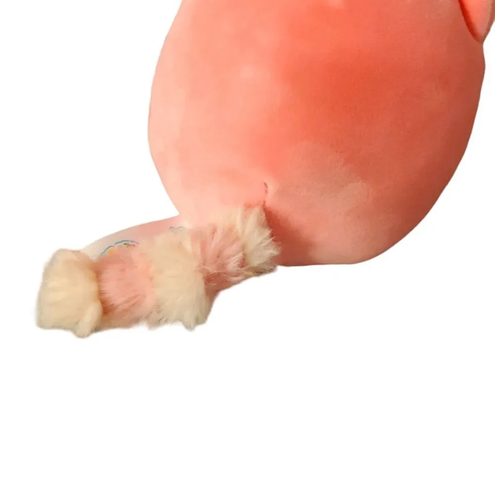 NWT Ditty 4